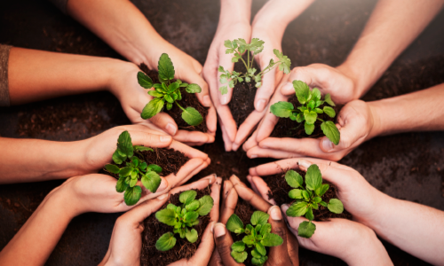 cuidado medio ambiente comunidad en armonia